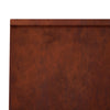 Pato 2 kpl 40 x 12 x 30 cm Säänkestävä teräs Ruosteinen