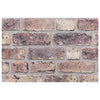 Seinäpaneelit 10 kpl 100 x 50 cm Tumma ruskea EPS vaahtomuovi
