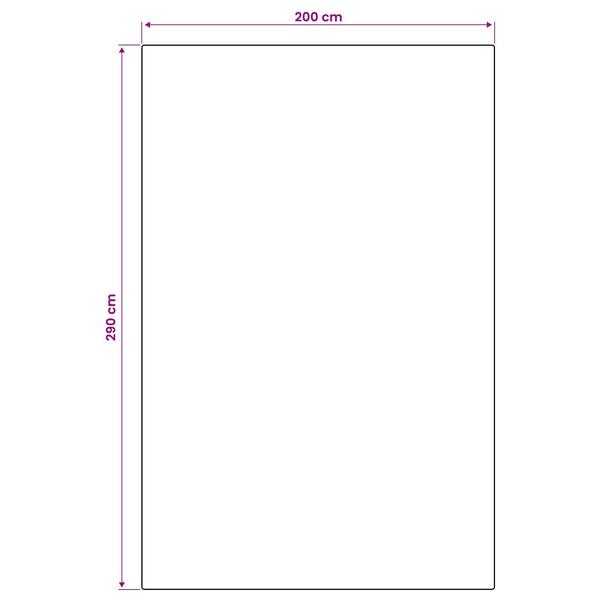 Alue Matto Luonnollinen ja musta 200 x 290 cm PET