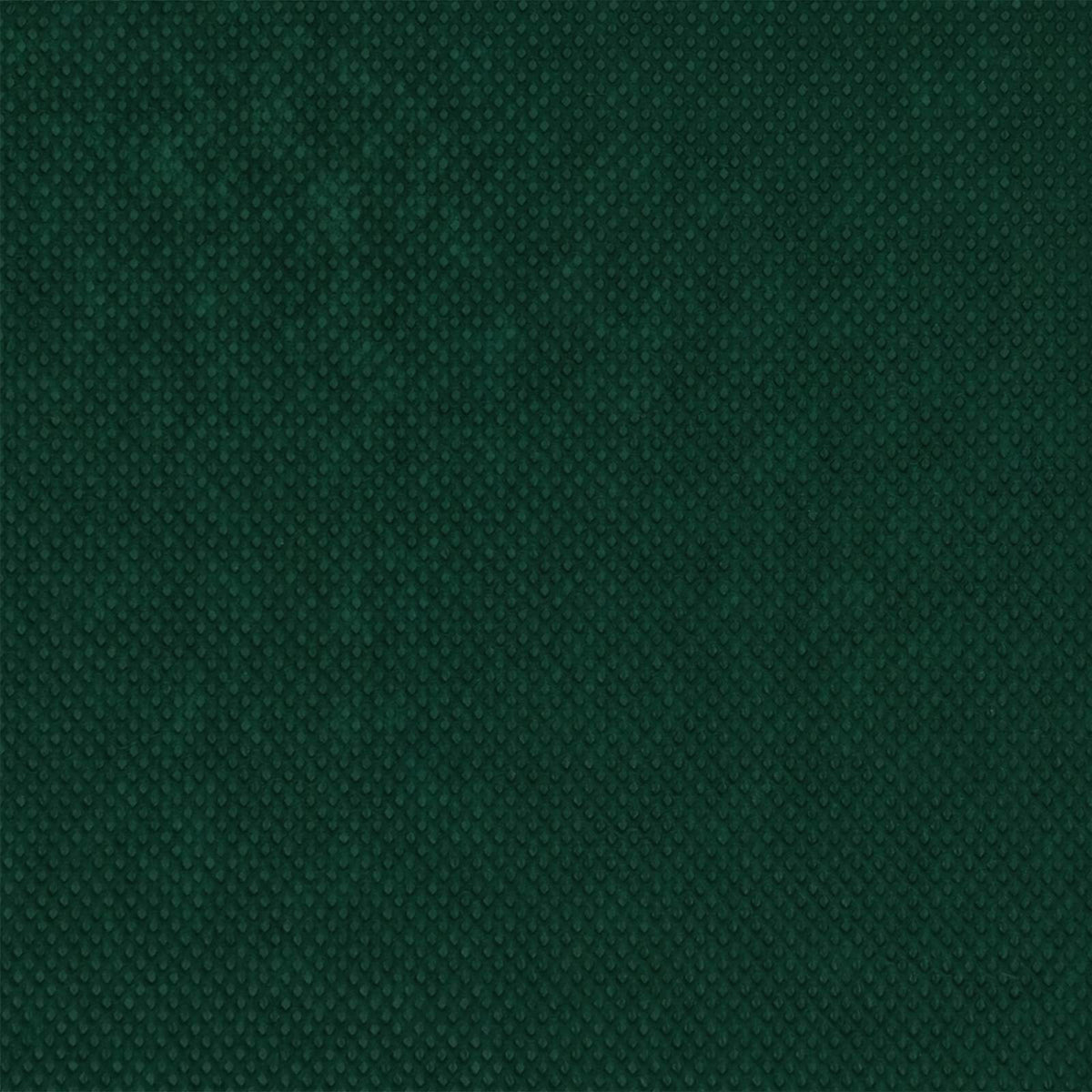 Pakkassuojakasvivilla 70 gsm 10 x 3,2 m Non-woven Kangas Vihreä