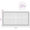 Gabion 3,5 mm langasta ja 5x2,5 cm verkosta 100x30x50 cm