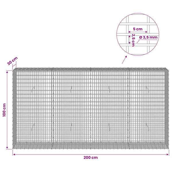 Gabion 3,5 mm langasta ja 5x2,5 cm verkosta 200x30x100 cm