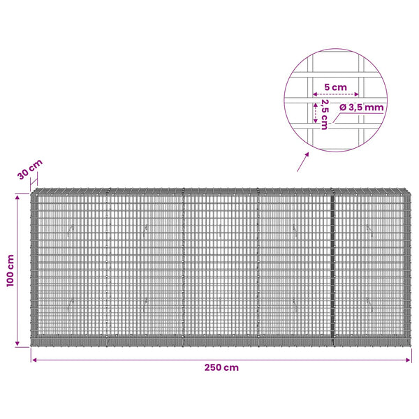 Gabion 3,5 mm langasta ja 5x2,5 cm verkosta 250x30x100 cm