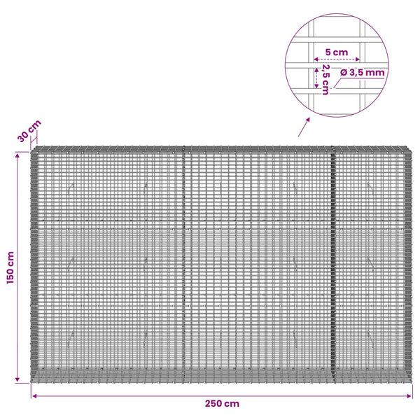 Gabion 3,5 mm langasta ja 5x2,5 cm verkosta 250x30x150 cm