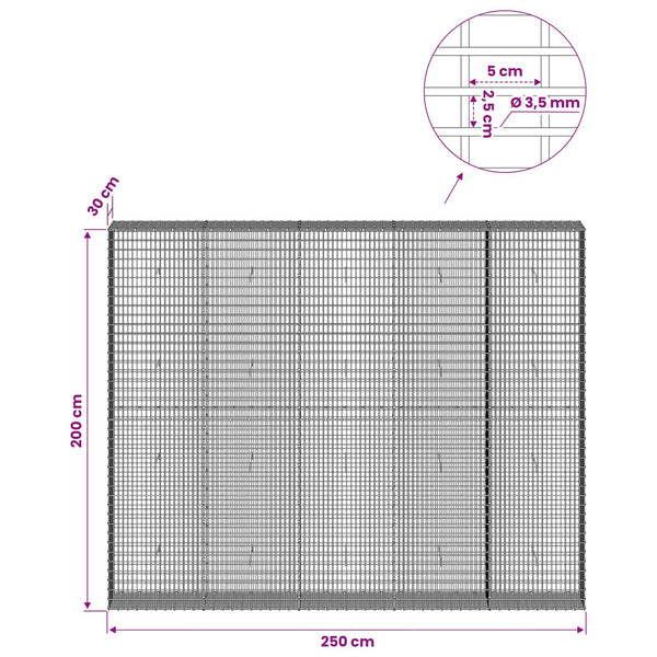 Gabion 3,5 mm langasta ja 5x2,5 cm verkosta 250x30x200 cm