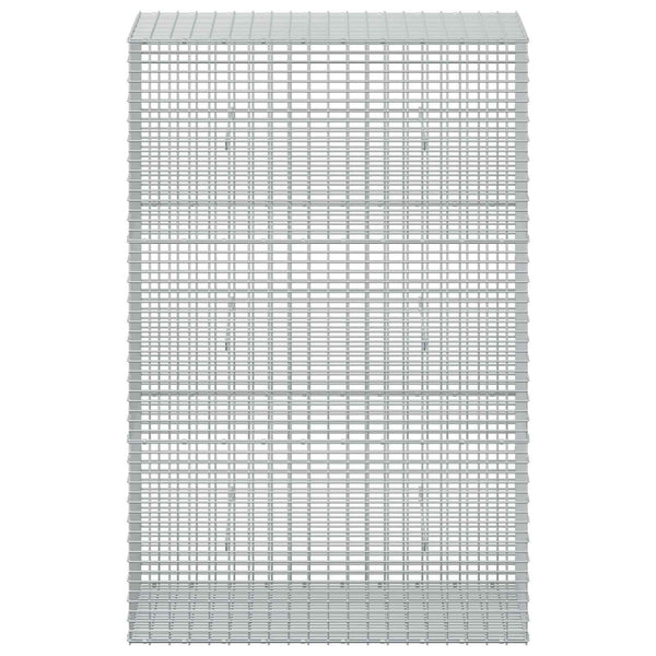 Gabion 3,5 mm langasta ja 5x2,5 cm verkosta 100x50x150 cm