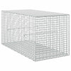 Gabion 3,5 mm langasta ja 5x2,5 cm verkosta 50x100x50 cm
