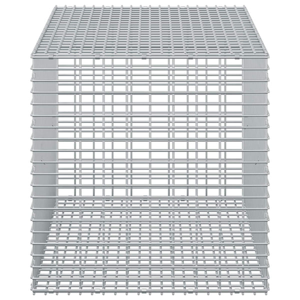 Gabion 3,5 mm langasta ja 5x2,5 cm verkosta 50x100x50 cm