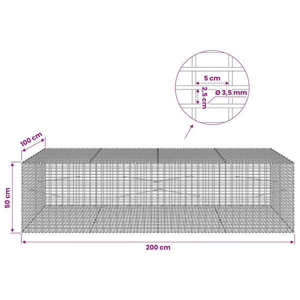 Gabion 3,5 mm langasta ja 5x2,5 cm verkosta 200x100x50 cm