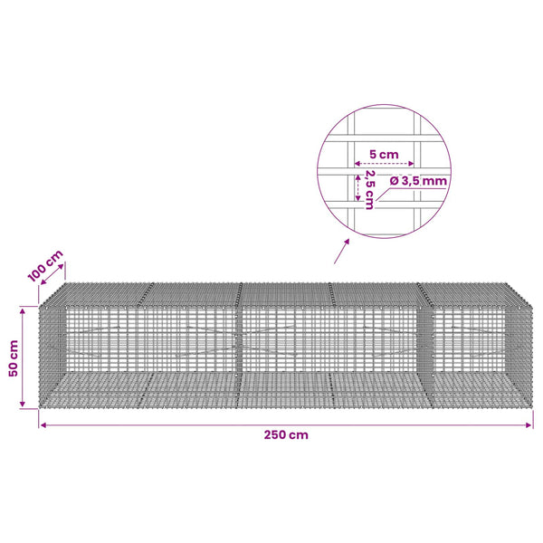 Gabion 3,5 mm langasta ja 5x2,5 cm verkosta 250x100x50 cm