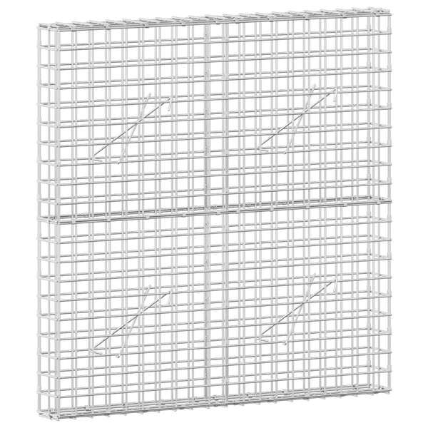 Gabioni, jossa 3,5 mm langat ja 5x5 cm verkko 100x10x100 cm