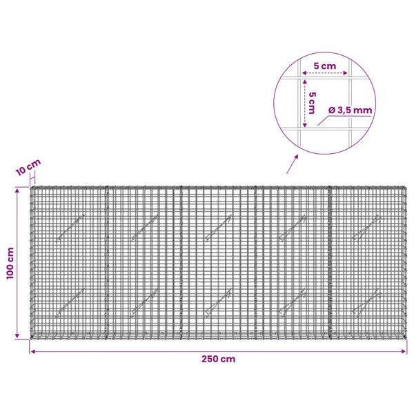 Gabioni, jossa 3,5 mm langat ja 5x5 cm verkko 250x10x100 cm