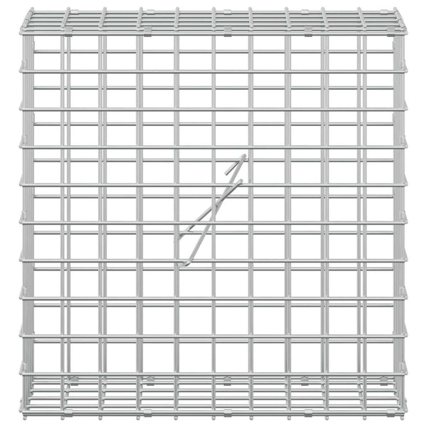 Gabioni, jossa 3,5 mm langat ja 5x5 cm verkko 50x20x50 cm