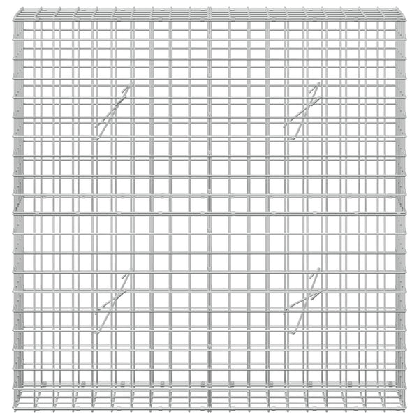 Gabioni, jossa 3,5 mm langat ja 5x5 cm verkko 100x20x100 cm