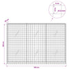 Gabioni, jossa 3,5 mm langat ja 5x5 cm verkko 150x20x100 cm