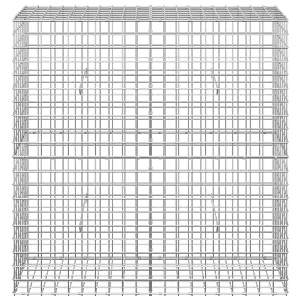 Gabioni, jossa 3,5 mm langat ja 5x5 cm verkko 100x30x100 cm
