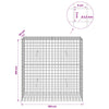 Gabioni, jossa 3,5 mm langat ja 5x5 cm verkko 100x30x100 cm