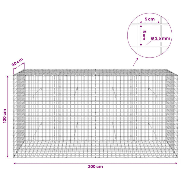 Gabioni, jossa 3,5 mm langat ja 5x5 cm verkko 200x50x100 cm