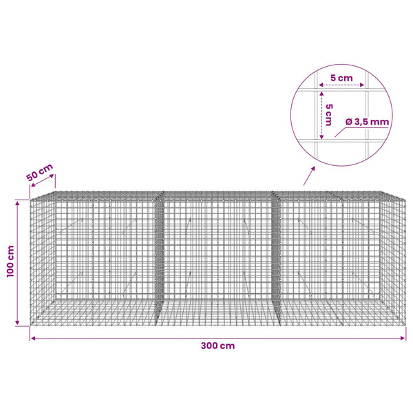 Gabioni, jossa 3,5 mm langat ja 5x5 cm verkko 300x50x100 cm