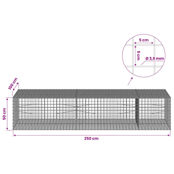 Gabioni, jossa 3,5 mm langat ja 5x5 cm verkko 250x100x50 cm