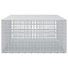 Gabioni, jossa 3,5 mm langat ja 5x5 cm verkko 300x100x50 cm