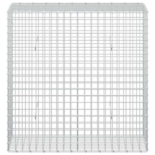 Gabioni, jossa 3,5 mm langat ja 5x5 cm verkko 50x100x100 cm
