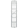 Gabion 3,5 mm Langasta ja 5x10 cm Verkkosta 250x10x50 cm