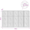Gabion 3,5 mm Langasta ja 5x10 cm Verkkosta 250x10x150 cm