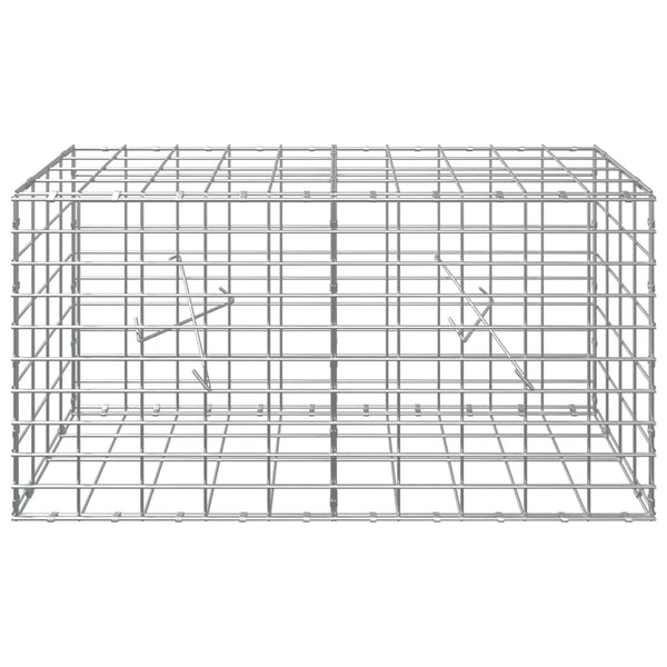 Gabion 3,5 mm Langasta ja 5x10 cm Verkkosta 100x20x50 cm