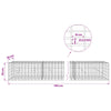 Gabion 3,5 mm Langasta ja 5x10 cm Verkkosta 700x20x50 cm