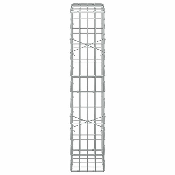 Gabion 3,5 mm Langasta ja 5x10 cm Verkkosta 50x20x100 cm