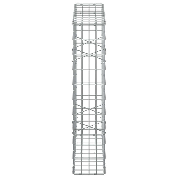 Gabion 3,5 mm Langasta ja 5x10 cm Verkkosta 100x20x100 cm