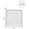 Gabion 3,5 mm Langasta ja 5x10 cm Verkkosta 100x20x100 cm