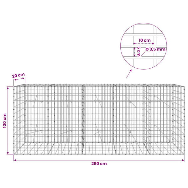 Gabion 3,5 mm Langasta ja 5x10 cm Verkkosta 250x20x100 cm