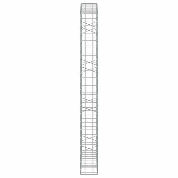Gabion 3,5 mm Langasta ja 5x10 cm Verkkosta 100x20x200 cm