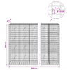 Gabion 3,5 mm Langasta ja 5x10 cm Verkkosta 650x20x200 cm