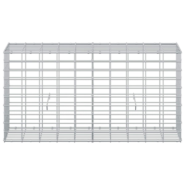 Gabion 3,5 mm Langasta ja 5x10 cm Verkkosta 100x30x50 cm