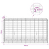 Gabion 3,5 mm Langasta ja 5x10 cm Verkkosta 100x30x50 cm