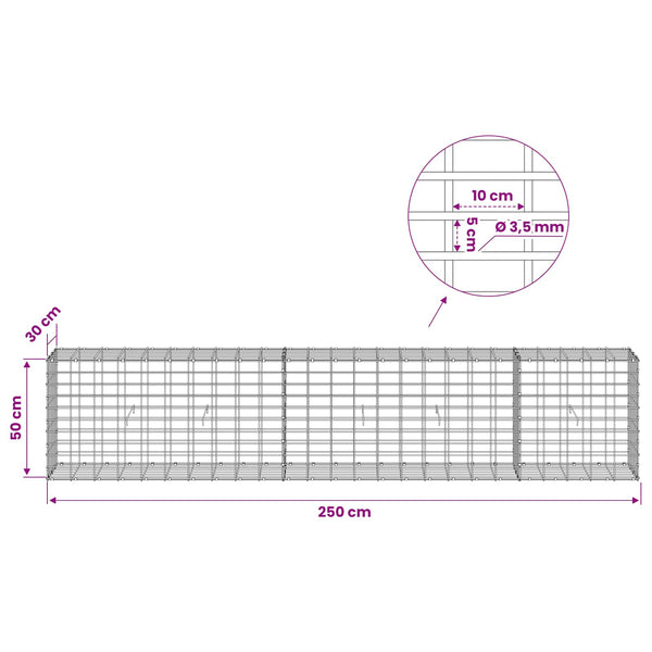 Gabion 3,5 mm Langasta ja 5x10 cm Verkkosta 250x30x50 cm