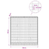 Gabion 3,5 mm Langasta ja 5x10 cm Verkkosta 100x30x100 cm