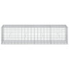 Gabion 3,5 mm Langasta ja 5x10 cm Verkkosta 200x50x50 cm