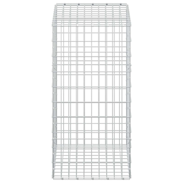 Gabion 3,5 mm Langasta ja 5x10 cm Verkkosta 100x50x100 cm