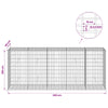 Gabion 3,5 mm Langasta ja 5x10 cm Verkkosta 250x50x100 cm