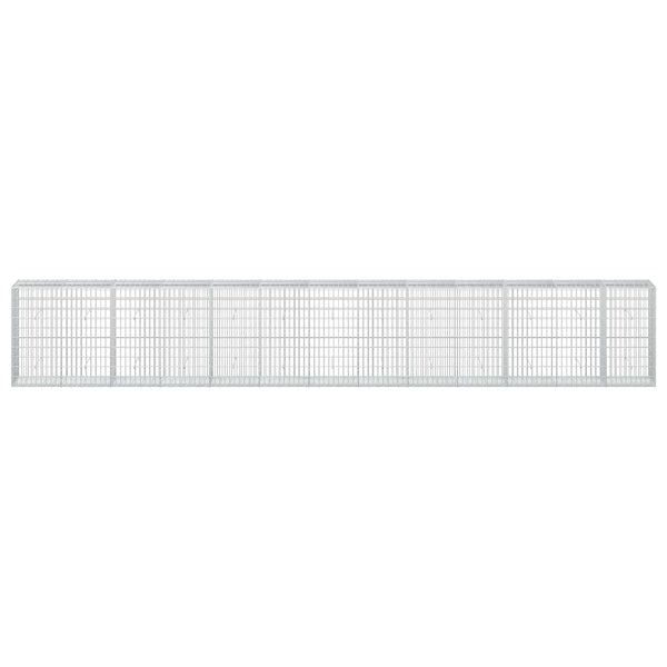 Gabion 3,5 mm Langasta ja 5x10 cm Verkkosta 650x50x100 cm