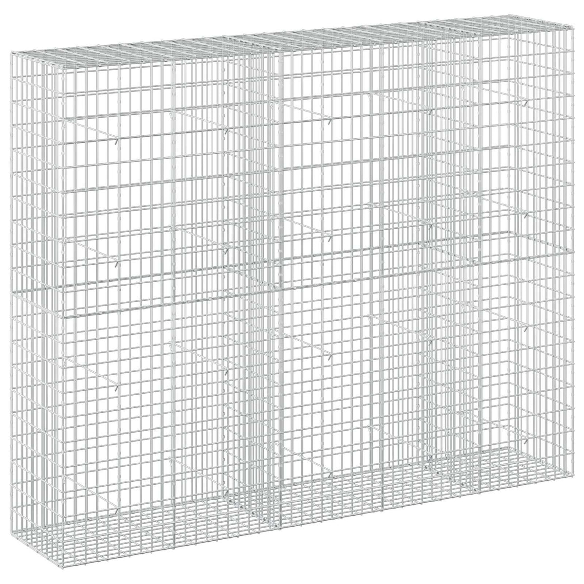 Gabion 3,5 mm Langasta ja 5x10 cm Verkkosta 250x50x200 cm
