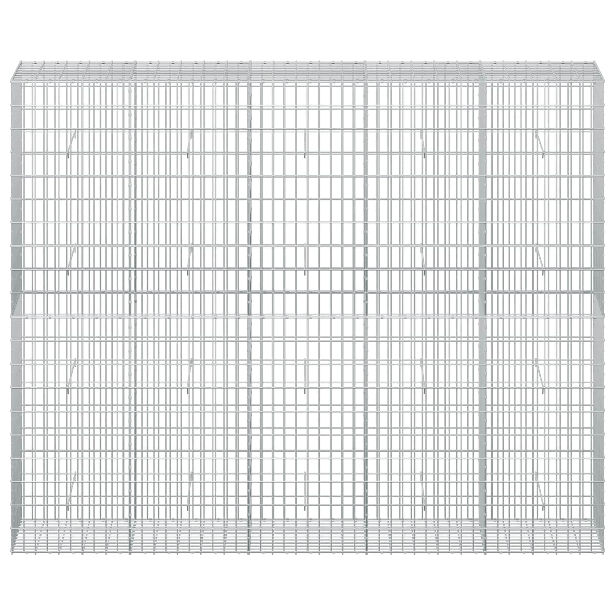 Gabion 3,5 mm Langasta ja 5x10 cm Verkkosta 250x50x200 cm
