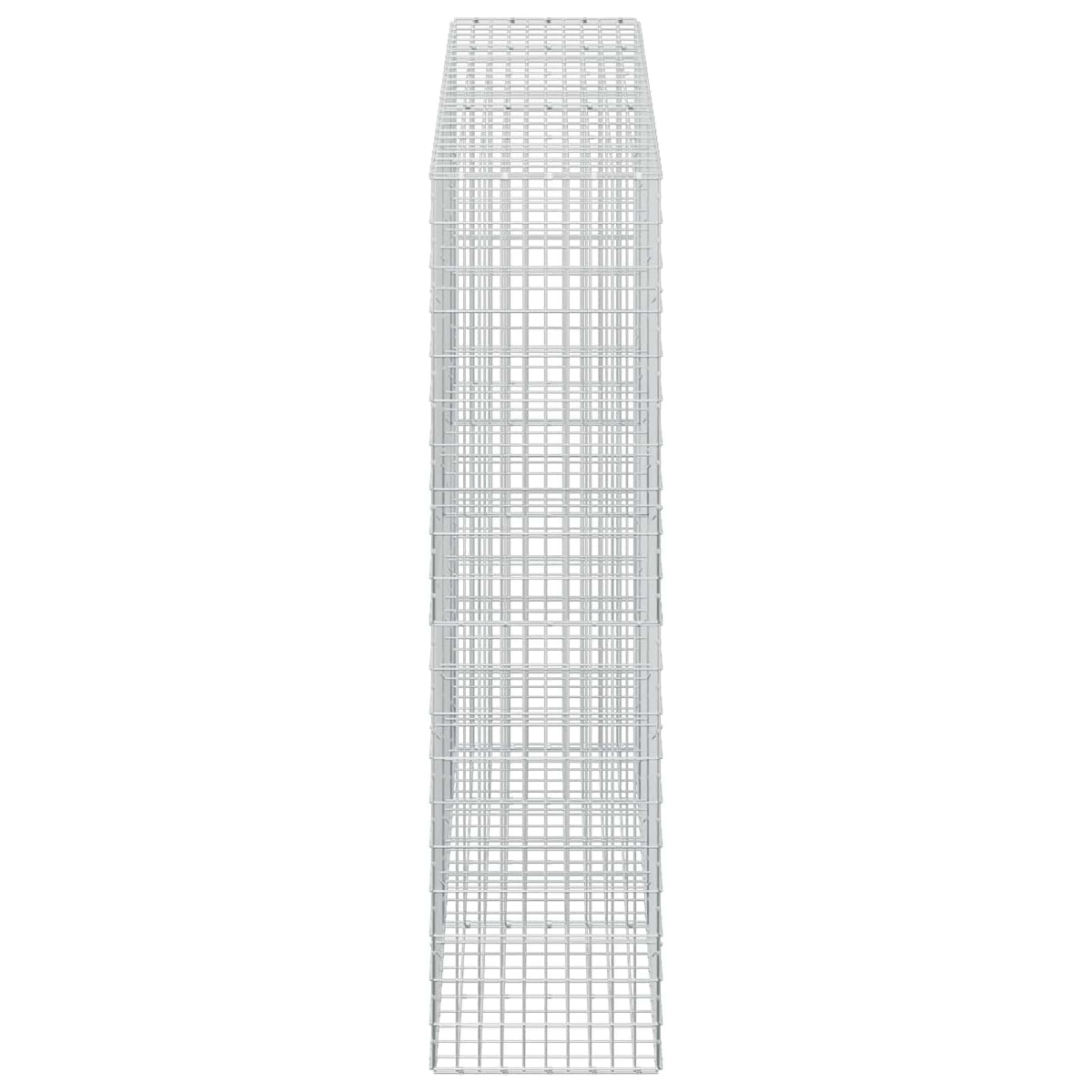 Gabion 3,5 mm Langasta ja 5x10 cm Verkkosta 250x50x200 cm