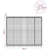 Gabion 3,5 mm Langasta ja 5x10 cm Verkkosta 250x50x200 cm