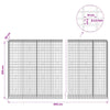 Gabion 3,5 mm Langasta ja 5x10 cm Verkkosta 650x50x200 cm