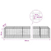 Gabion 3,5 mm Langasta ja 5x10 cm Verkkosta 950x100x50 cm